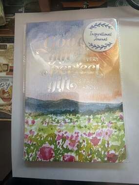 Mintgreen Inspirational  6 x 9 Journal James 1:17 Watercolor Flower Field-lined